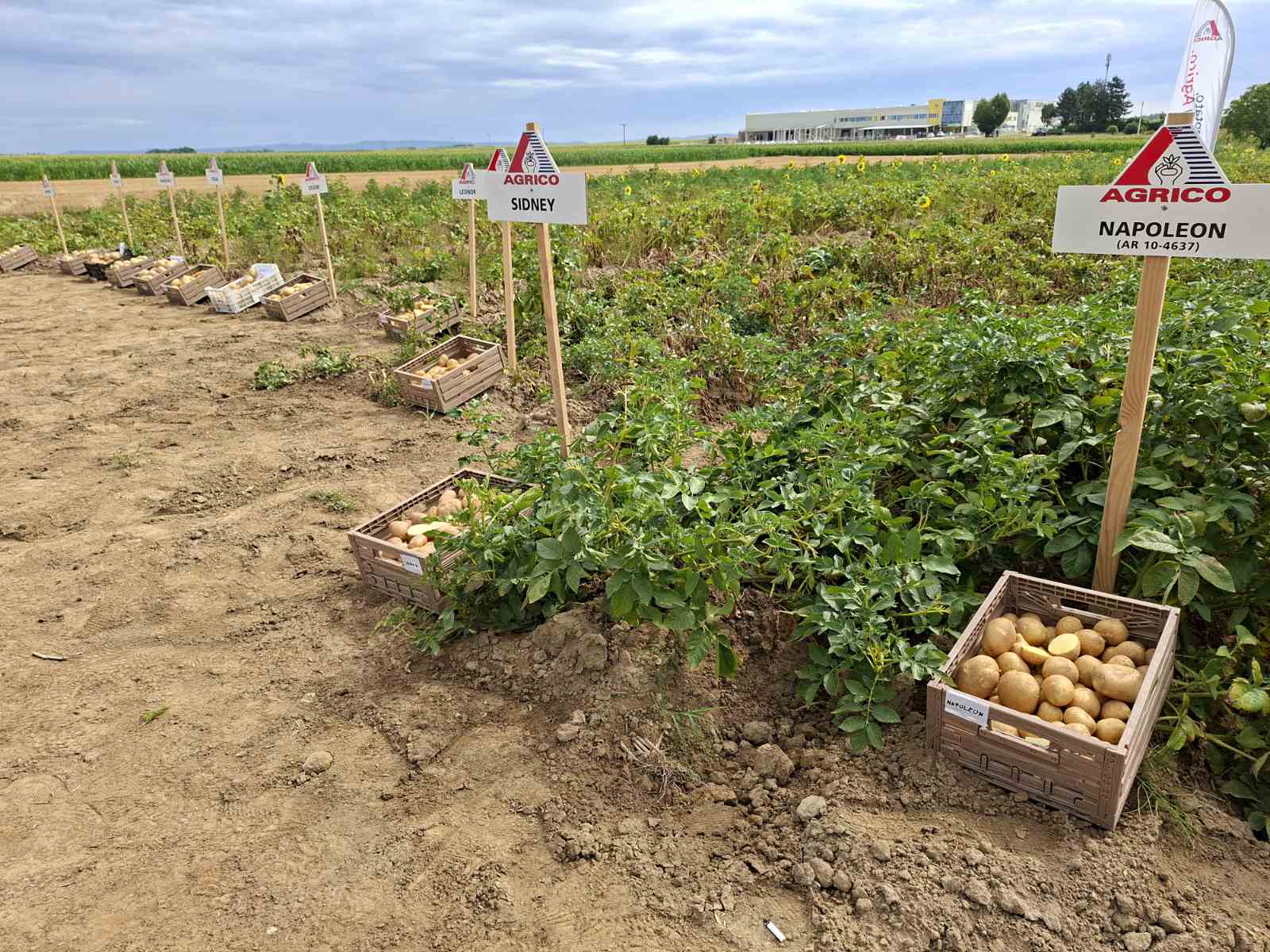 0 02 05 80d74f9d951069864c58867ac003fee83a2de1218fa6dbf2f872cbe08f43c84f 85ffc003f38a080e