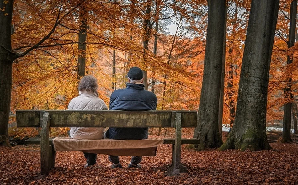Ilustracija / Foto: Pixabay