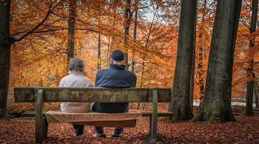 Ilustracija / Foto: Pixabay