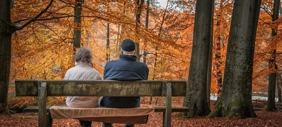 Ilustracija / Foto: Pixabay