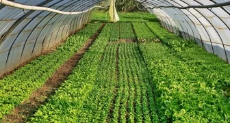 Ilustracija / Foto: Pixabay