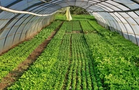 Ilustracija / Foto: Pixabay