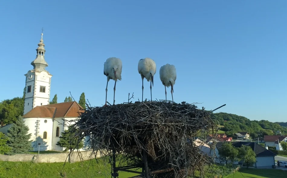 Jednoglasno izglasan proračun Općine Donja Voća