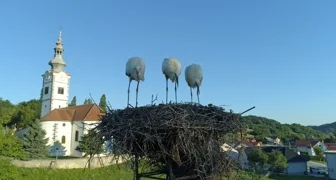 OPĆINA DONJA VOĆA Obavijest o zaprimanju zahtjeva za prenamjenu zemljišta