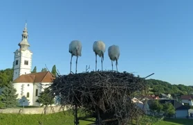 OPĆINA DONJA VOĆA Obavijest o zaprimanju zahtjeva za prenamjenu zemljišta