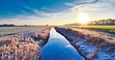 Ilustracija / Pixabay