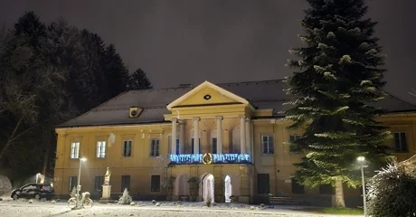 Snijeg je zabijelio Novi Marof