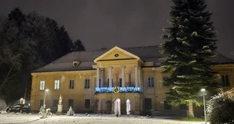 Snijeg je zabijelio Novi Marof