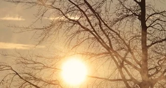 Ilustracija / Pixabay