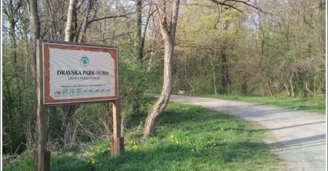 Dravska park šuma