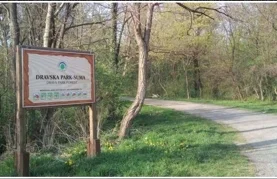 Dravska park šuma