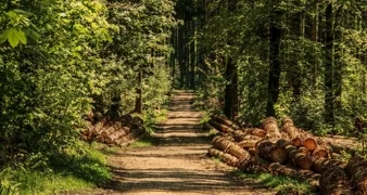 Otvoreno je savjetovanje s javnošću o Nacrtu programa utroška sredstava šumskog doprinosa za 2025. godinu na području Grada Varaždina