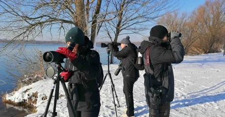 Međimurska priroda u nedjelju, 26. siječnja organizira ptičarenje u Marini Prelog