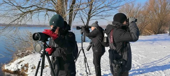 Međimurska priroda u nedjelju, 26. siječnja organizira ptičarenje u Marini Prelog