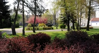 Grad Varaždin pokrenuo izradu Strategije zelene urbane obnove: U tijeku je anketiranje građana Varaždina