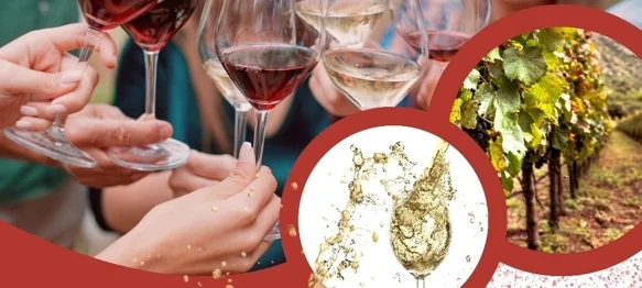 Pridružite se u subotu, 18. siječnja obilježavanju Vincekovog u općini Vidovec