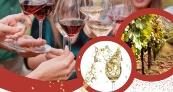 Pridružite se u subotu, 18. siječnja obilježavanju Vincekovog u općini Vidovec