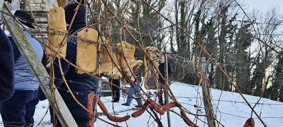 &bdquo;Krštenjem&rdquo; trsa započela nova vinogradarska godina u Varaždinskim Toplicama