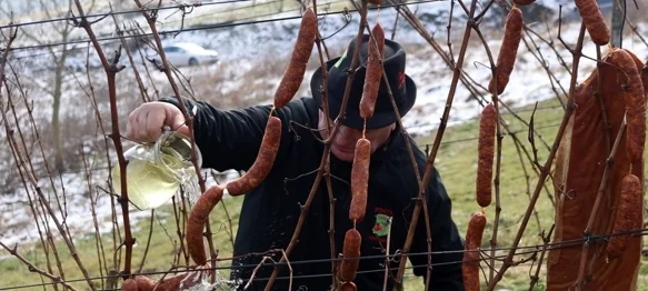 FOTO Vincekovo v Marofu okupilo brojne vinogradare i ljubitelje vina