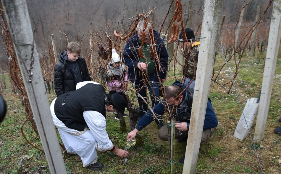 Cestički vinogradari na Lovrečan bregu orezali prvi trs i proslavili Vincekovo