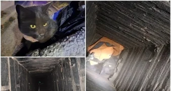 Ludbreški vatrogasci iz dimnjaka spasili zarobljenog mačića