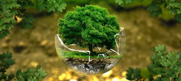 Općina Petrijanec povećala sredstva za zaštitu okoliša, zbrinjavanje otpada i sanaciju divljih odlagališta