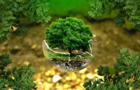 Općina Petrijanec povećala sredstva za zaštitu okoliša, zbrinjavanje otpada i sanaciju divljih odlagališta