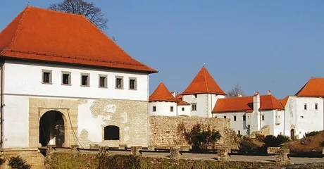 Varaždincima se u Kuli stražarnici izložbom skulptura predstavlja Ivan Mladenović