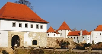 Varaždincima se u Kuli stražarnici izložbom skulptura predstavlja Ivan Mladenović