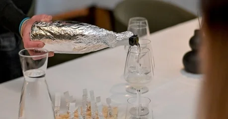 Pripreme i prikupljanje uzoraka vina varaždinskih vinara za 22. Decanter World Wine Awards