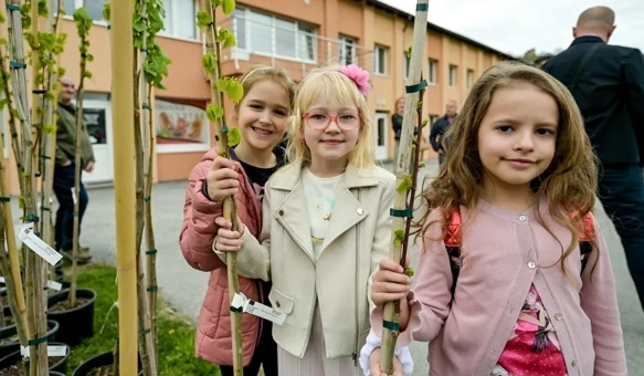 FOTO Podijeljeno 100-tinjak klonova Beline i koprivolisne lipe koji će biti zasađeni diljem Varaždinske i susjednih županija