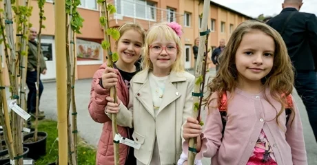 FOTO Podijeljeno 100-tinjak klonova Beline i koprivolisne lipe koji će biti zasađeni diljem Varaždinske i susjednih županija