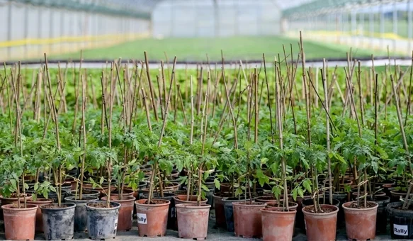 Poljoprivrednicima na raspolaganju 1,6 milijuna eura