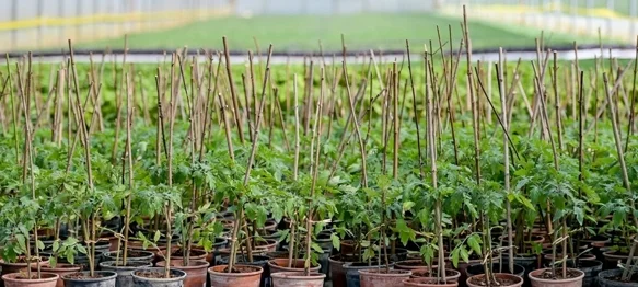 Poljoprivrednicima dodijeljene potpore u iznosu većem od 62.000 eura