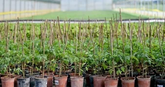 Oslobađanje od plaćanja doprinosa, jednokratne pomoći, moratorij na zaduženja...