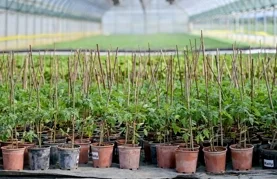 Poljoprivrednicima dodijeljene potpore u iznosu većem od 62.000 eura