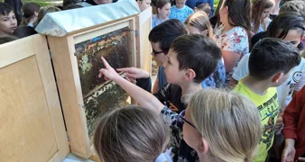 Obilježen Svjetski dan pčela: Djeca iz Kneginca podsjetila na važnost oprašivača