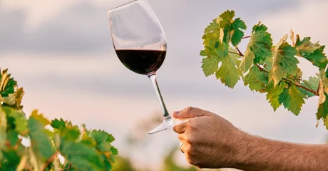 U subotu ne propustite pješački pohod &quot;Od kleti do kleti&quot;