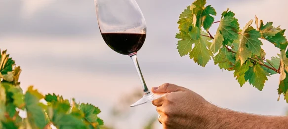 Sudjelujte na 33. Međunarodnoj izložbi mladih vina - evo kada i gdje morate donijeti svoje uzorke