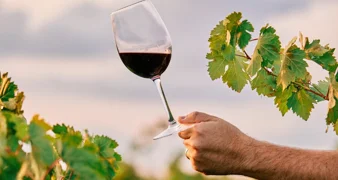 Roštilj, mlado vino, kesteni i "Fiškali" - ove subote ne zaobiđite "Martinje v Marofu"