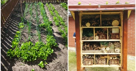 Vrt i hotel za kukce u Područnoj školi Josipa Jedvaja Vrbno