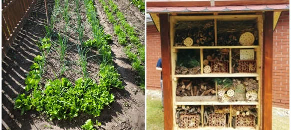 Vrt i hotel za kukce u Područnoj školi Josipa Jedvaja Vrbno