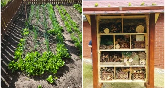 Vrt i hotel za kukce u Područnoj školi Josipa Jedvaja Vrbno