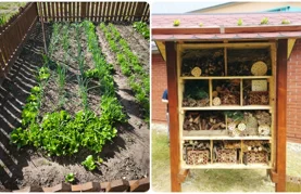 Vrt i hotel za kukce u Područnoj školi Josipa Jedvaja Vrbno