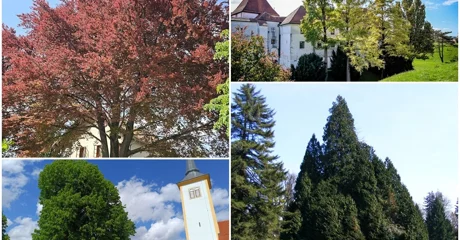 Dio nominirah stabala u izboru varaždinskih Parkova