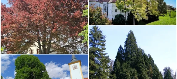 Dio nominirah stabala u izboru varaždinskih Parkova