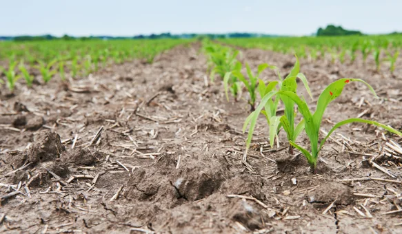 Zbog klime će se morati mijenjati osnovne agrotehničke prakse