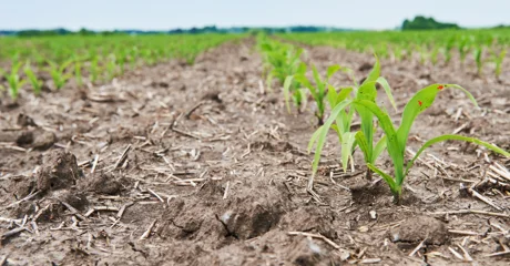Zbog klime će se morati mijenjati osnovne agrotehničke prakse