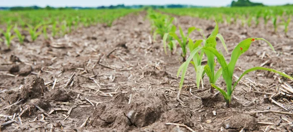 Dođite na javni skup i dajte svoje prijedloge za razvoj poljoprivrede