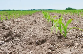 Zbog klime će se morati mijenjati osnovne agrotehničke prakse